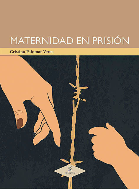 Maternidad en prisión, Cristina Palomar Verea