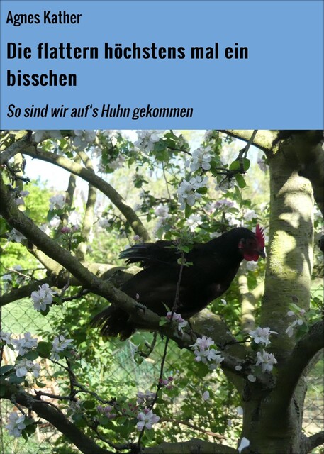 Die flattern höchstens mal ein bisschen, Agnes Kather