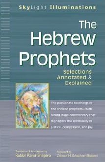The Hebrew Prophets, Rabbi Rami Shapiro