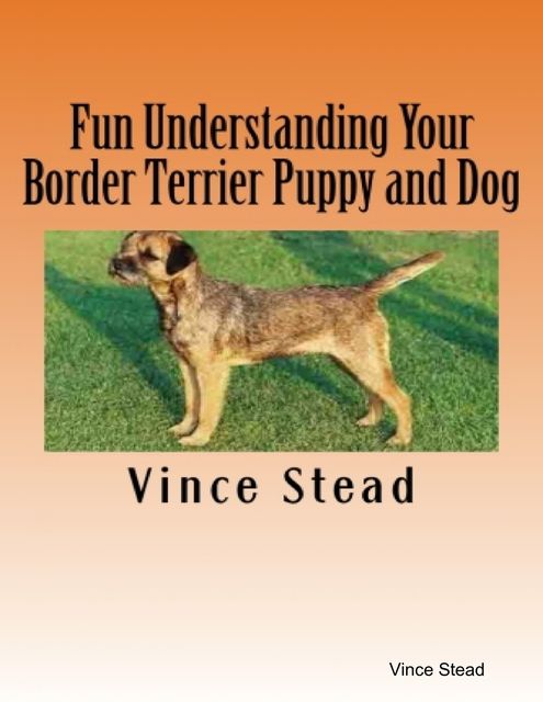 Fun Understanding Your Border Terrier Puppy and Dog, Vince Stead