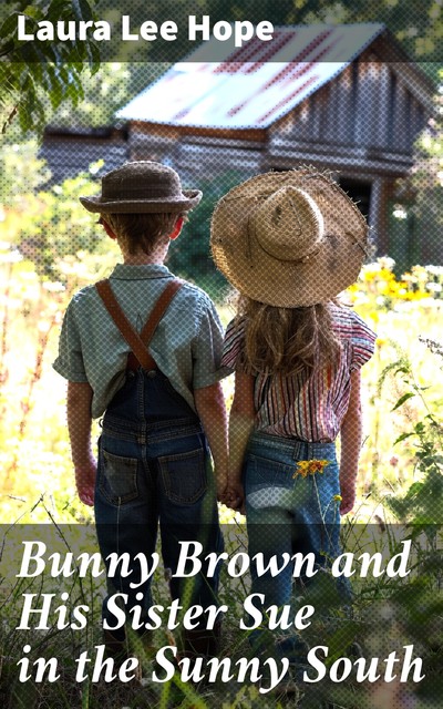 Bunny Brown and His Sister Sue in the Sunny South, Laura Lee Hope