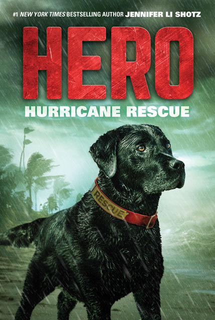 Hero: Hurricane Rescue, Jennifer Li Shotz