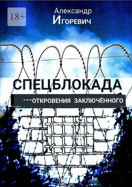 Спецблокада. Откровения заключенного, Александр Игоревич
