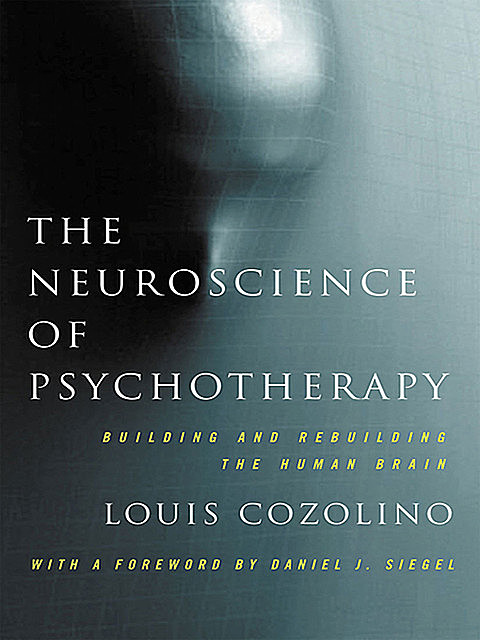 The Neuroscience of Psychotherapy: Healing the Social Brain (Second Edition), Louis Cozolino