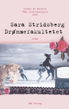 Drømmefakultetet, Sara Stridsberg