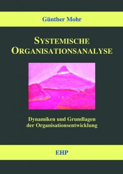 Systemische Organisationsanalyse, Günther Mohr