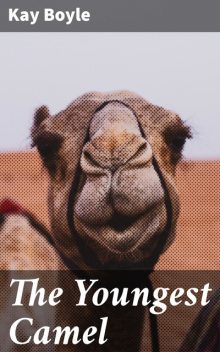 The Youngest Camel, Kay Boyle