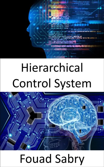 Hierarchical Control System, Fouad Sabry