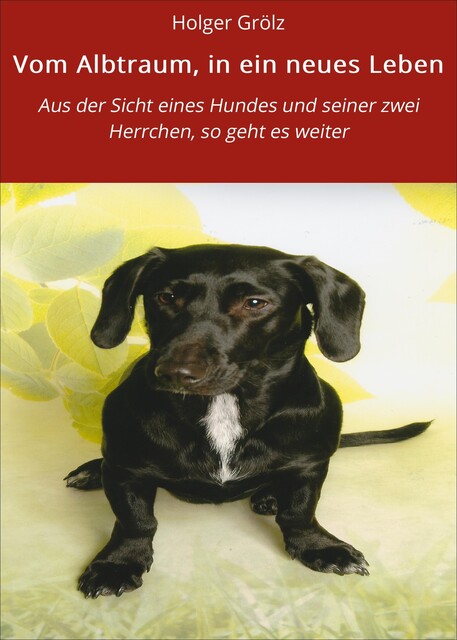 Vom Albtraum, in ein neues Leben, Holger Grölz