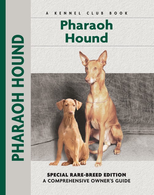 Pharaoh Hound, Juliette Cunliffe