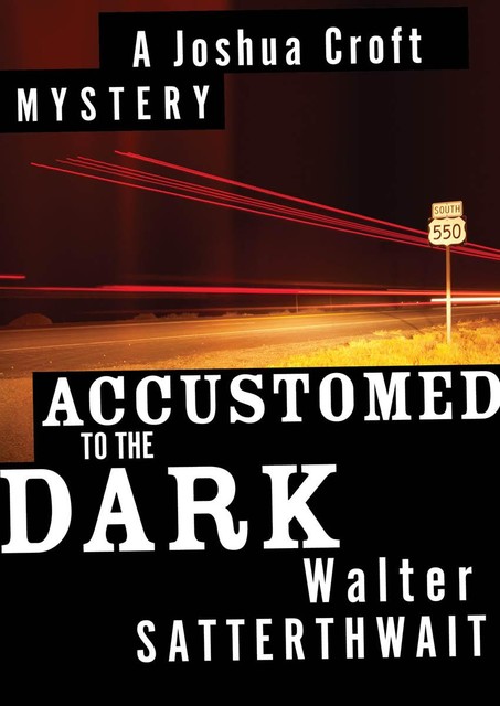 Accustomed to the Dark, Walter Satterthwait