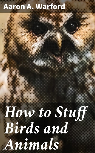 How to Stuff Birds and Animals, Aaron A. Warford