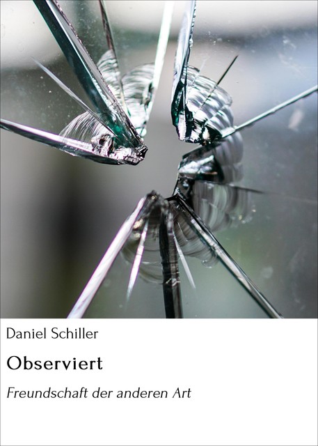 Observiert, Daniel Schiller