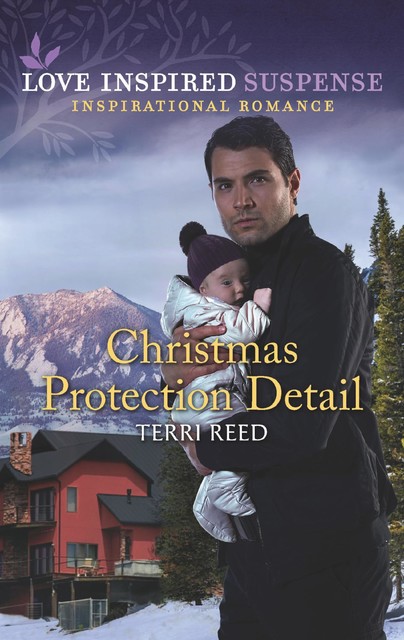 Christmas Protection Detail, Terri Reed