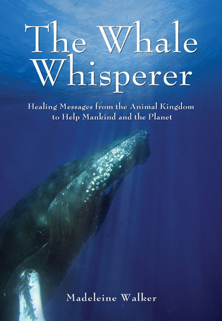 Whale Whisperer, Madeleine Walker