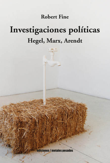 Investigaciones políticas, Robert Fine