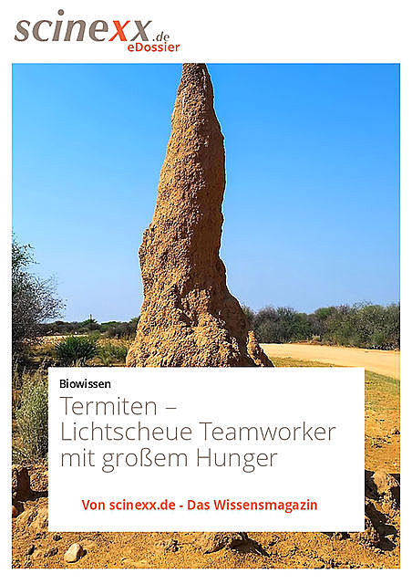 Termiten, Dieter Lohmann