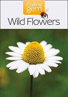 Wild Flowers (Collins Gem), Martin Walters