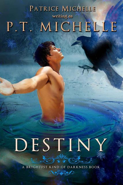 Destiny, YA Paranormal Romance (Brightest Kind of Darkness Series, Book #3), Michelle, P.T.