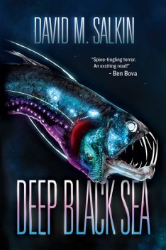 Deep Black Sea, David Salkin