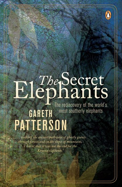 The Secret Elephants, Gareth Patterson