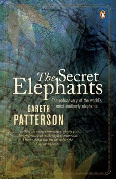 The Secret Elephants, Gareth Patterson