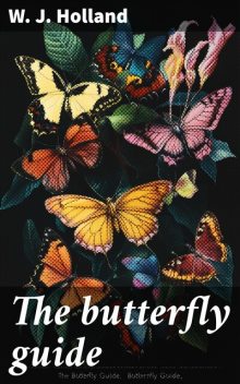 The butterfly guide, W.J. Holland