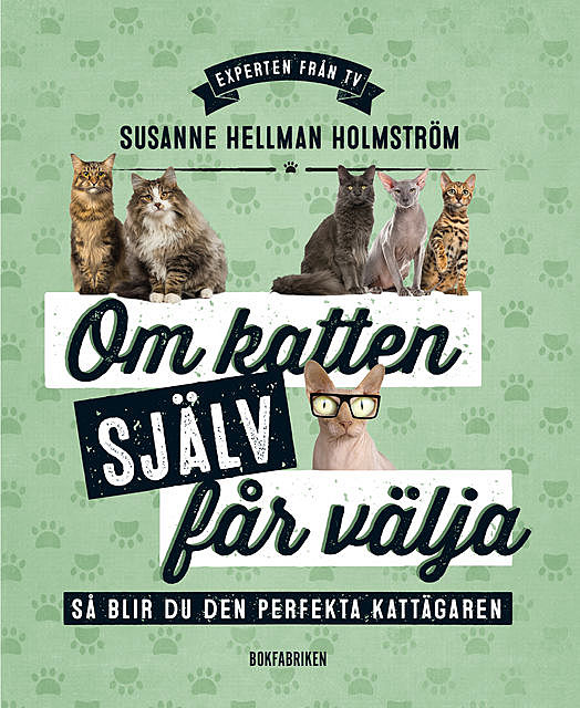 Om katten själv får välja, Susanne Hellman Holmström