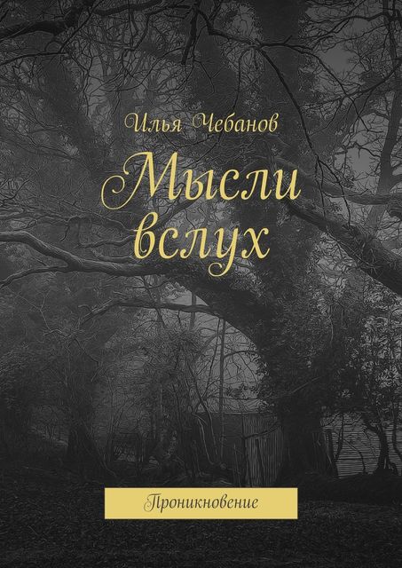 Мысли вслух, Илья Чебанов