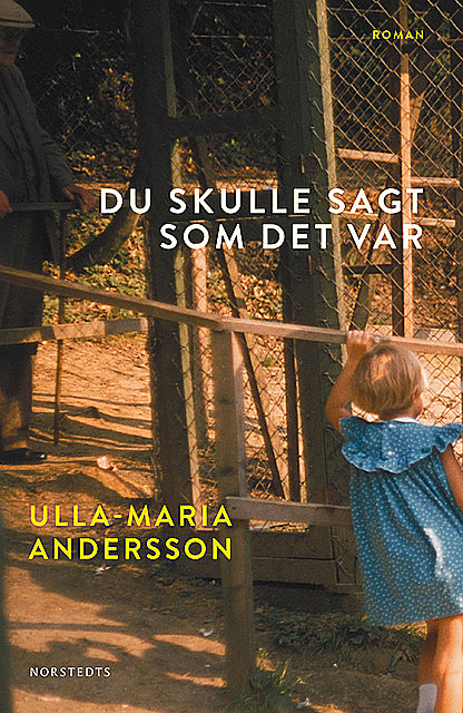 Du skulle sagt som det var, Ulla-Maria Andersson