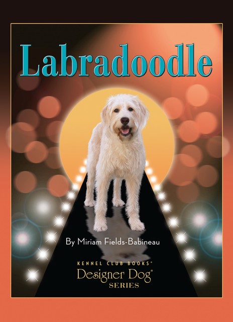 Labradoodle, Miriam Fields-Babineau