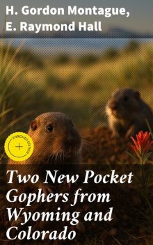 Two New Pocket Gophers from Wyoming and Colorado, E.Raymond Hall, H.Gordon Montague