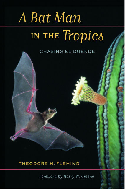 A Bat Man in the Tropics, Theodore Fleming