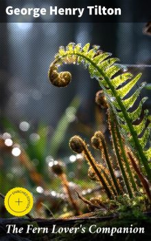 The Fern Lover's Companion, George Henry Tilton