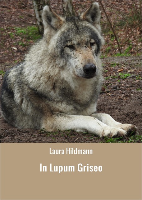 In Lupum Griseo, Laura Hildmann