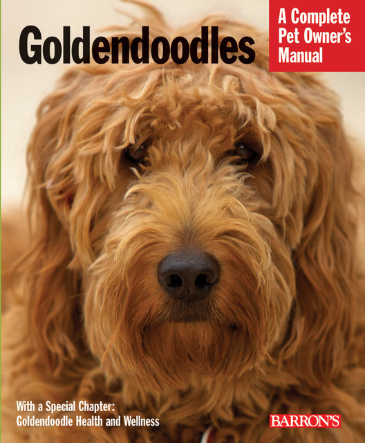 Goldendoodles, Edie MacKenzie
