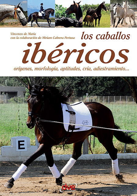 Los caballos ibéricos, Vincenzo De Maria