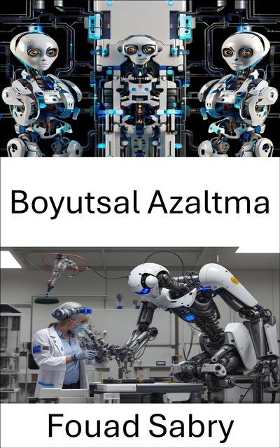 Boyutsal Azaltma, Fouad Sabry