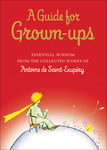 A Guide for Grown-ups, Antoine de Saint-Exupéry