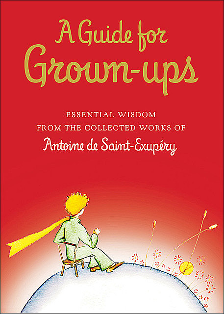 A Guide for Grown-ups, Antoine de Saint-Exupéry