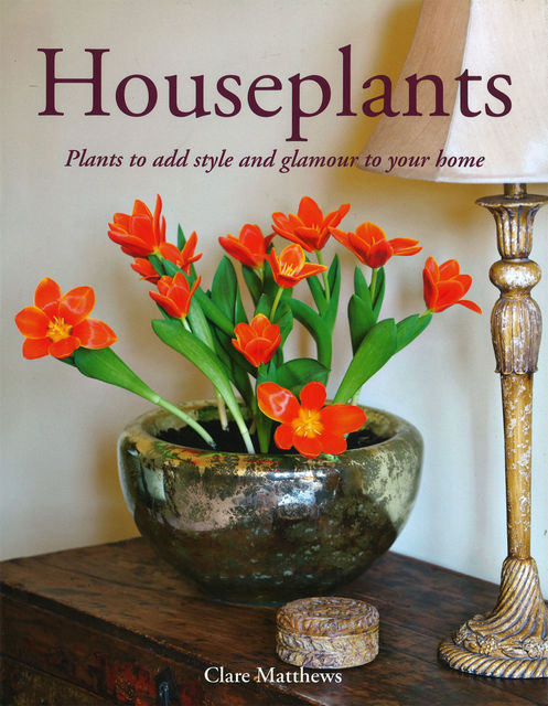 Houseplants, Clare Matthews