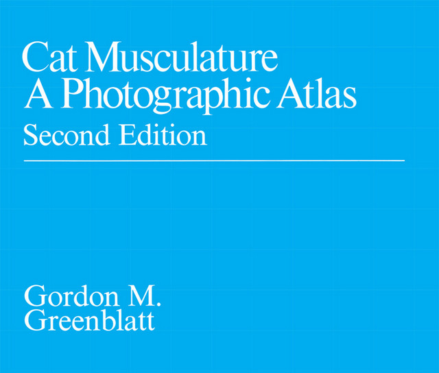 Cat Musculature, Gordon Greenblatt