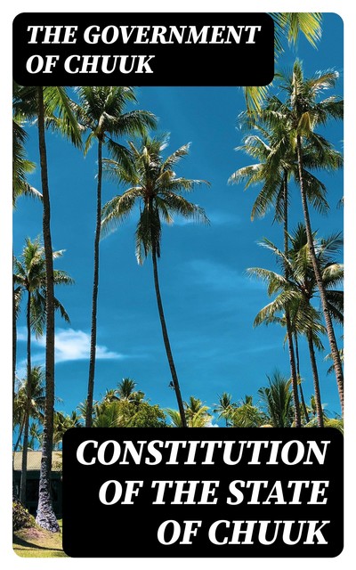 Constitution of the State of Chuuk, The Government of Chuuk