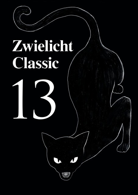 Zwielicht Classic 13, Michael Schmidt