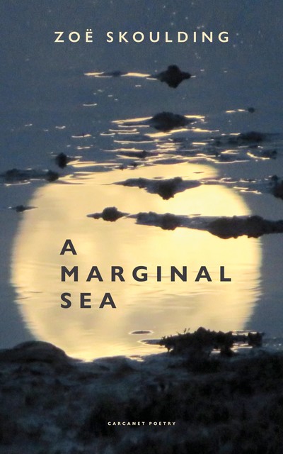 A Marginal Sea, Zoe Skoulding