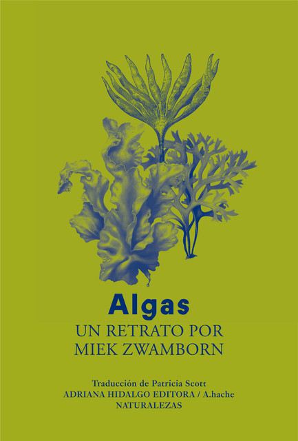 Algas, Miek Zwamborn