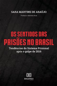 Os Sentidos das Prisões no Brasil, Sara Martins de Araújo