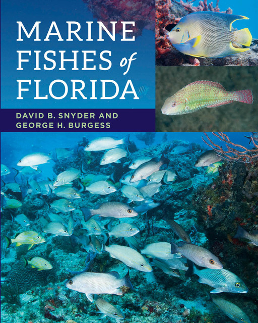 Marine Fishes of Florida, David Snyder, George H. Burgess