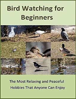 Bird Watching for Beginners: The Most Relaxing and Peaceful Hobbies That Anyone Can Enjoy, Ariadne Sky