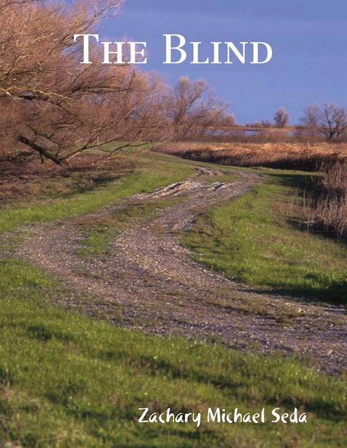 The Blind, Zachary Seda